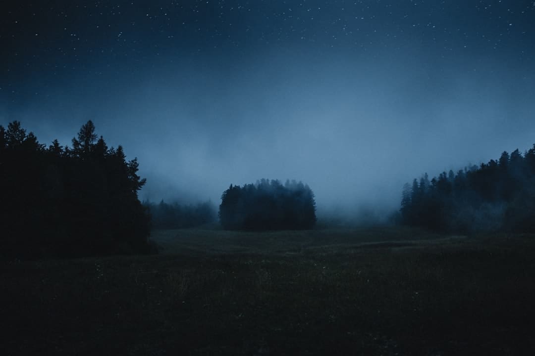 https://img3.utuku.imgcdc.com/628x0/ent/20250905/829358b9-f78a-4637-a189-7c2b91698615.jpg